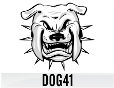 dog41