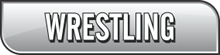 Wrestling Design Flyer